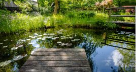 Heimwerker Tipp für Gartenfreunde: Gartenteich selbst bauen