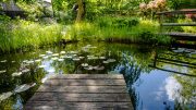 Heimwerker Tipp für Gartenfreunde: Gartenteich selbst bauen