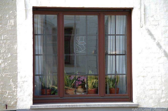 Ein Fenster, das man nicht so schnell durch ein neues pflegeleichtes ersetzen will. 