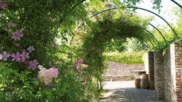 Strukturierendes Element im Garten: Bogengang im Garten