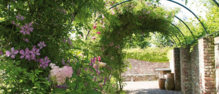 Strukturierendes Element im Garten: Bogengang im Garten