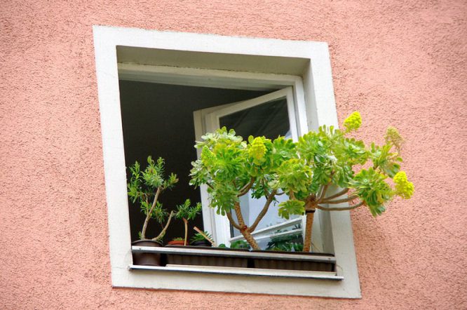 Ein neues Fenster einbauen