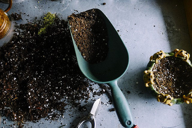 Werkzeuge für den Garten