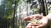 Pellets aus gepressten Holzresten