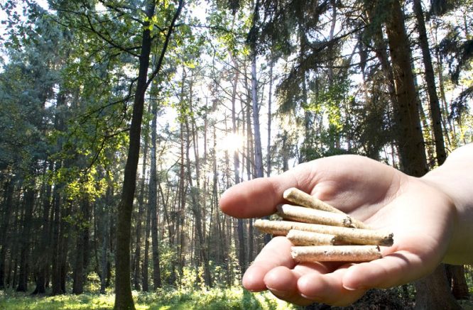 Alternatives nachhaltiges Heizen mit Pellets in Pelletöfen aus gepressten Holzresten