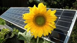 Solaranlage und symblolisch - eine Sonnenblume