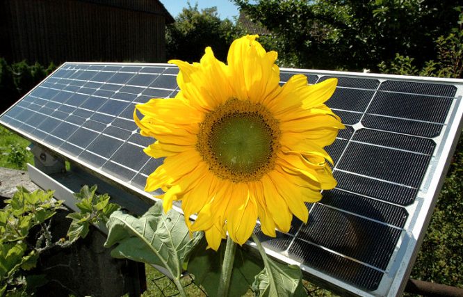 Solaranlage und symblolisch - eine Sonnenblume