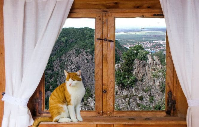 Holzfenster einfach - wie sie heute nicht mehr verkauft werden.