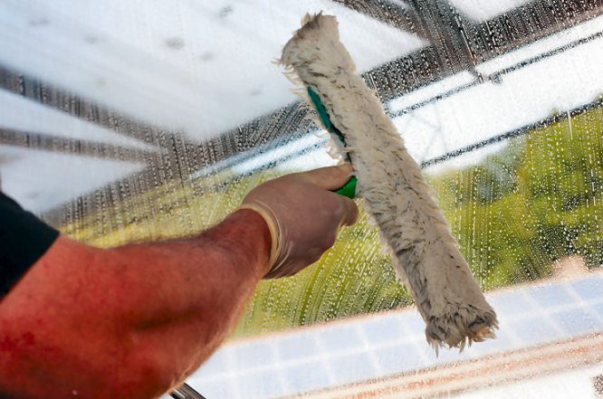 Fenster Putzen - sieht nach Profi aus