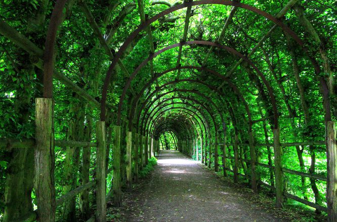 Pergola - klassischer Laubengang im Garten des Schweriner Schlosses