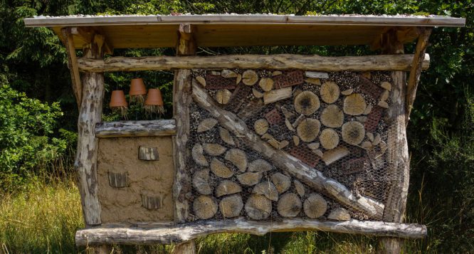 Ein Nützlingshaus für Marienkäfer, Wildbienen & Co bauen