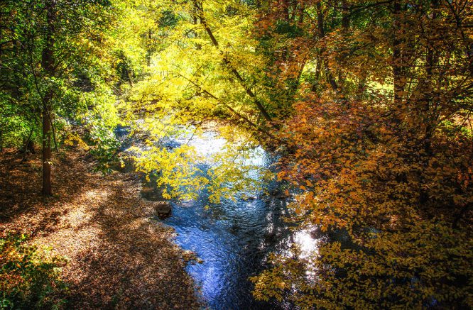 Goldener Herbst