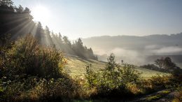 Infrarotheizungen heizen nach dem Prinzip der Sonne - sie wirbeln also keinen Staub auf