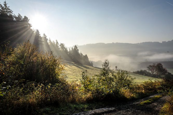 Infrarotheizungen heizen nach dem Prinzip der Sonne - sie wirbeln also keinen Staub auf