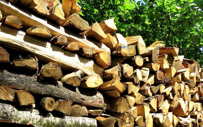 Regeneratives Heizen - Holz gehört zu den nachwachsenden Brennstoffen