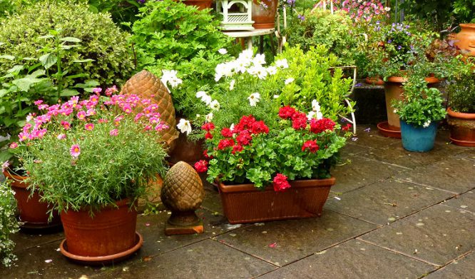 Eine Überdachung der Terrasse macht auch mit Kübelpflanzen Sinn