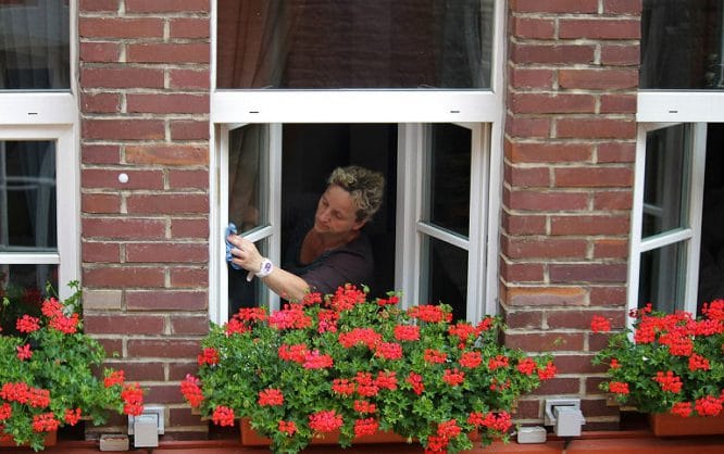 Fenster richtig putzen und am besten dabei auch gleich die Dichtungen pflegen