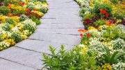 Steinplatten im Garten am besten mit Soda reinigen