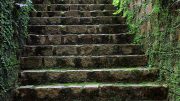 Treppenarten im Garten und Treppe berechnen: Die Stufen dieser Treppe sind recht hoch, höher als 15 cm bestimmt.