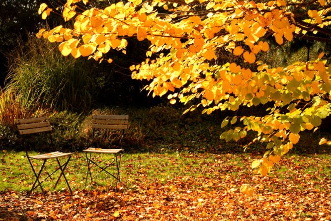 Im Herbst wird es Zeit, den Garten winterfest zu machen. 