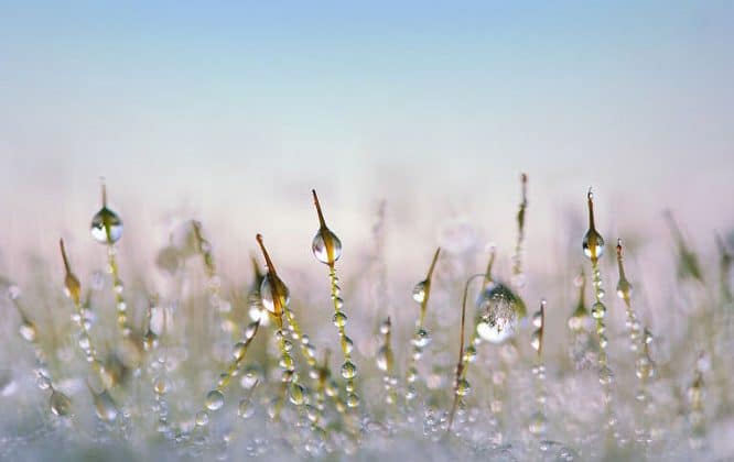 Der Rasen im Winter - braucht Luft und Licht.