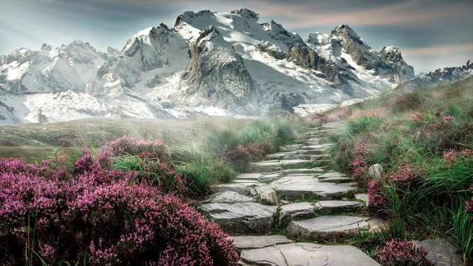 Wanderweg durch Alpen Landschaft