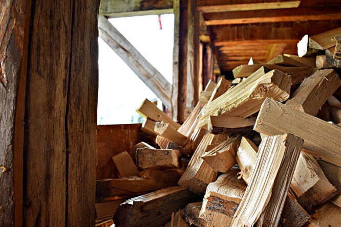 Holz spalten kann sich zu einem richtigen Hobby entwickeln.