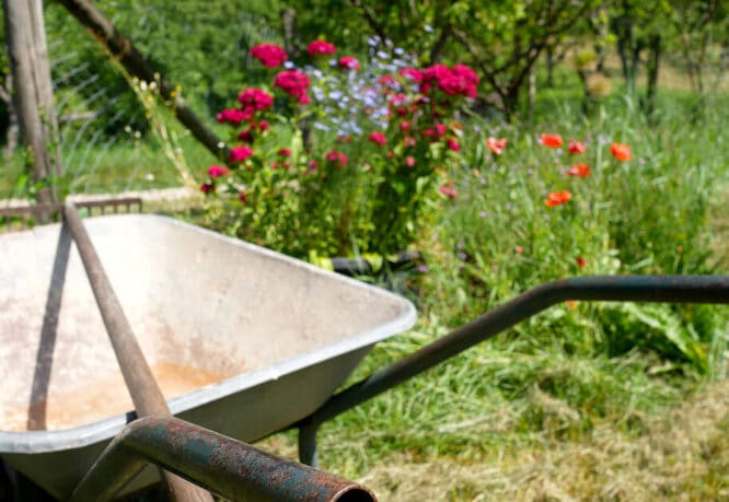 Wer im Garten etwas tun will, braucht normalerweise ein Gartenhaus, praktische Typen von Gartenhäusern eignen sich da am besten, zum Beispiel ein Geräteschuppen. 