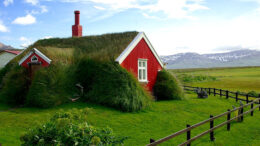 Grasdach auf rotem Haus - was für ein Dach!