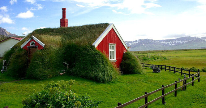 Grasdach auf rotem Haus - was für ein Dach!