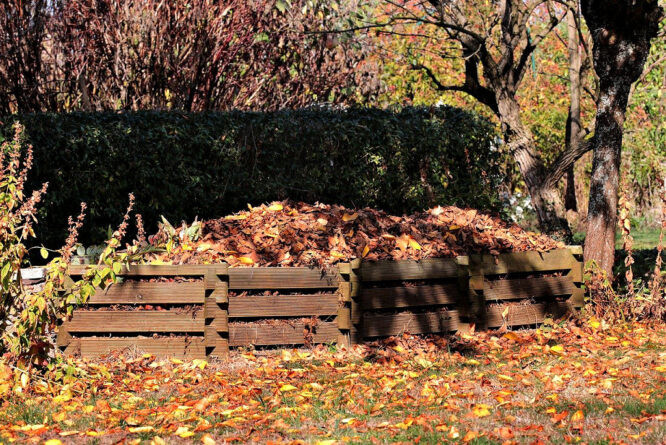 Ein richtiger Kompost ist Gold im Garten wert. 