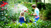 Eine eigene Grünfläche ist gerade für jede Familie mit Kindern etwas Wunderbares.