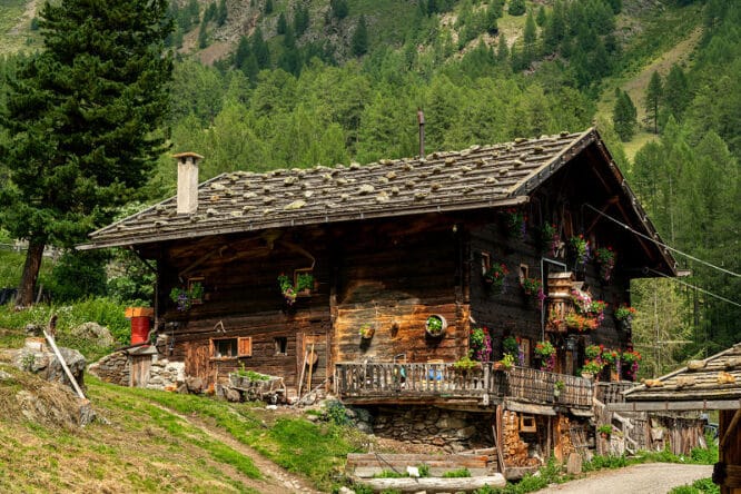 Für einen Garten mit leichter oder gar steiler Hanglage ist man in der Gestaltung und Auswahl der Bepflanzung eingeschränkt. Das eröffnet auch die Chance für Ideen, auf die man sonst nicht gekommen wäre.