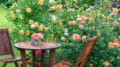 Um eine romantische Sitzecke im Garten zu gestalten, hilft schon der eine oder andere Tipp.