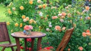 Um eine romantische Sitzecke im Garten zu gestalten, hilft schon der eine oder andere Tipp.