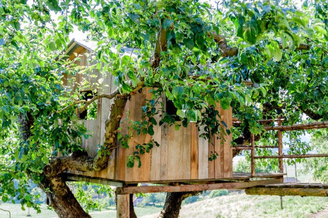 Eine Baumhaus für kleine Kinder - Ok, kein Problem. Dagegen ist ein echtes Baumhaus, mit dem Stamm in der Mitte in einigen Metern Höhe schon komplizierter zu bauen.