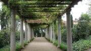 Traditionell, schon im alten Rom, verwendet man eine Pergola als Schutz vor zu intensiver Sonne und als naturnahen Schattenspender.