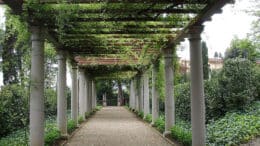 Traditionell, schon im alten Rom, verwendet man eine Pergola als Schutz vor zu intensiver Sonne und als naturnahen Schattenspender.