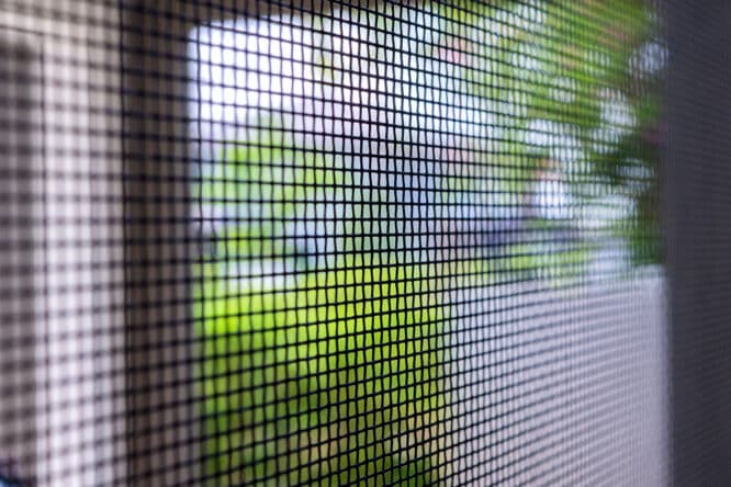 Insektengitter am Fenster