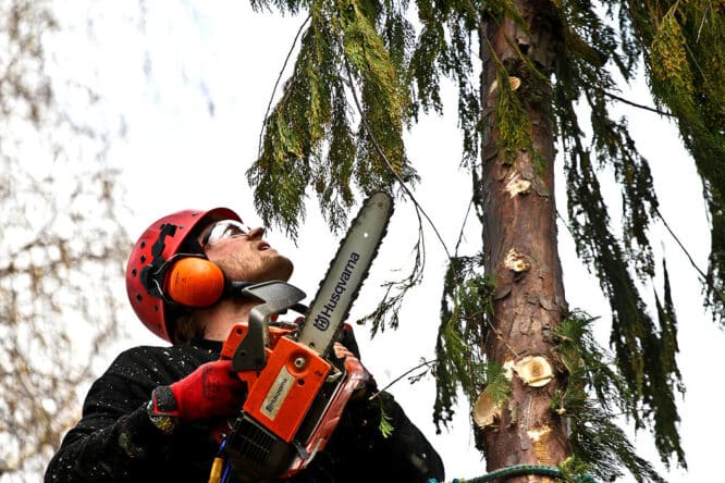 Holzfäller im Einsatz