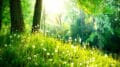 Die Wirkung von Farben auf die Psyche: Grüntöne wirken besonders entspannend, wir assoziieren meist mit freier Natur.