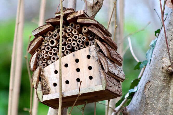 In einem kleinen Insektenhotel finden weniger Arten Platz, aber besser so als gar nicht. 