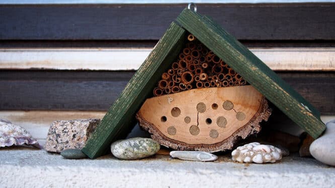 Ein Dach schützt das Insektenhotel vor Regen und direkter Sonne. 