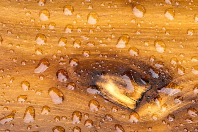 Auch eine natürliche Holzbehandlung bewirkt, dass die Oberfläche des Holzes Wassertropfen abperlen lässt. 